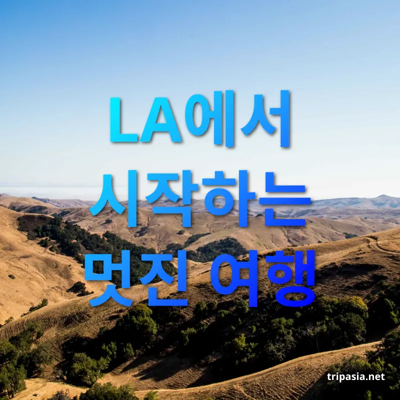 서부 미국 로드트립 - 할리우드의 스타들을 만나다 서부 미국 로드트립 할리우드의 스타들을 만나다 관련 이미지