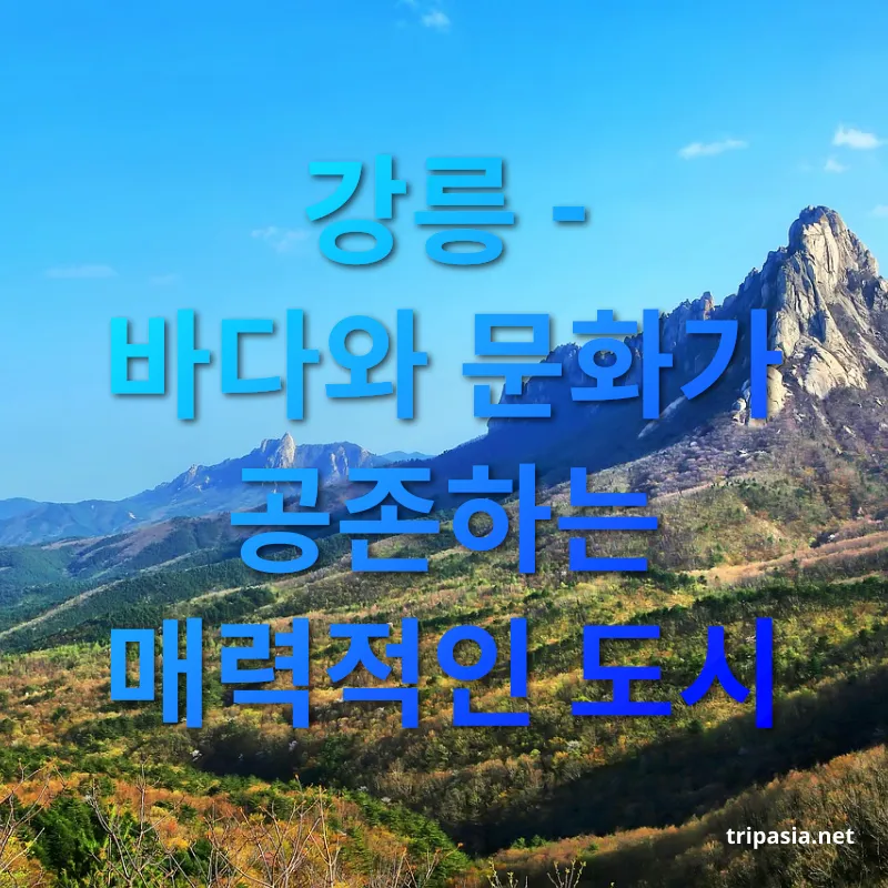 강원도 여행 - 아름다운 해변이 자랑거리 강원도 여행 아름다운 해변이 자랑거리 관련 이미지