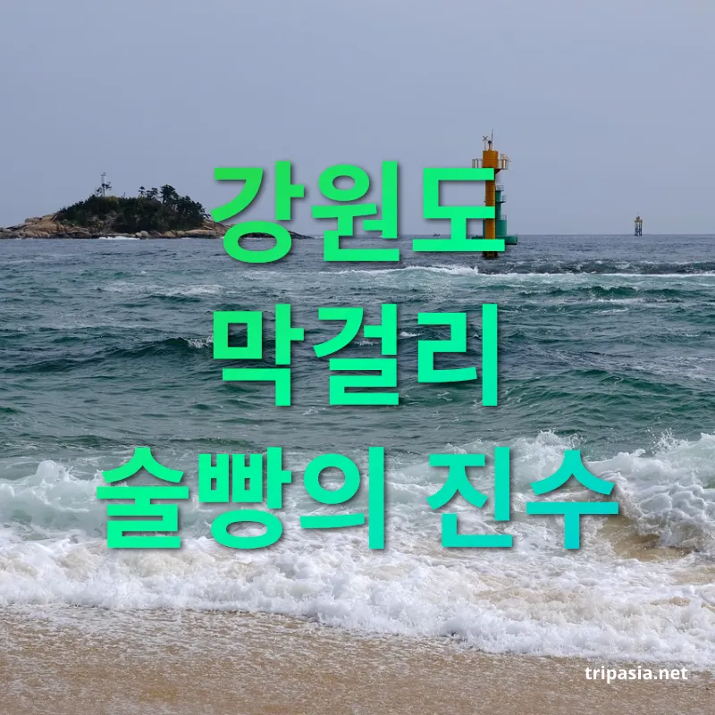 속초 맛집 - 속초 중앙시장 막걸리빵 속초 맛집 속초 중앙시장 막걸리빵 관련 이미지