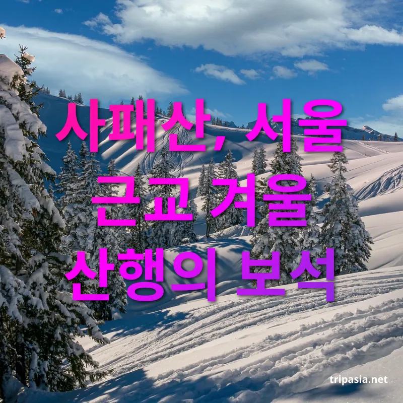 겨울 눈꽃 산행 - 원각폭포와 사패산 정상 오르기 겨울 눈꽃 산행 원각폭포와 사패산 정상 오르기 관련 이미지