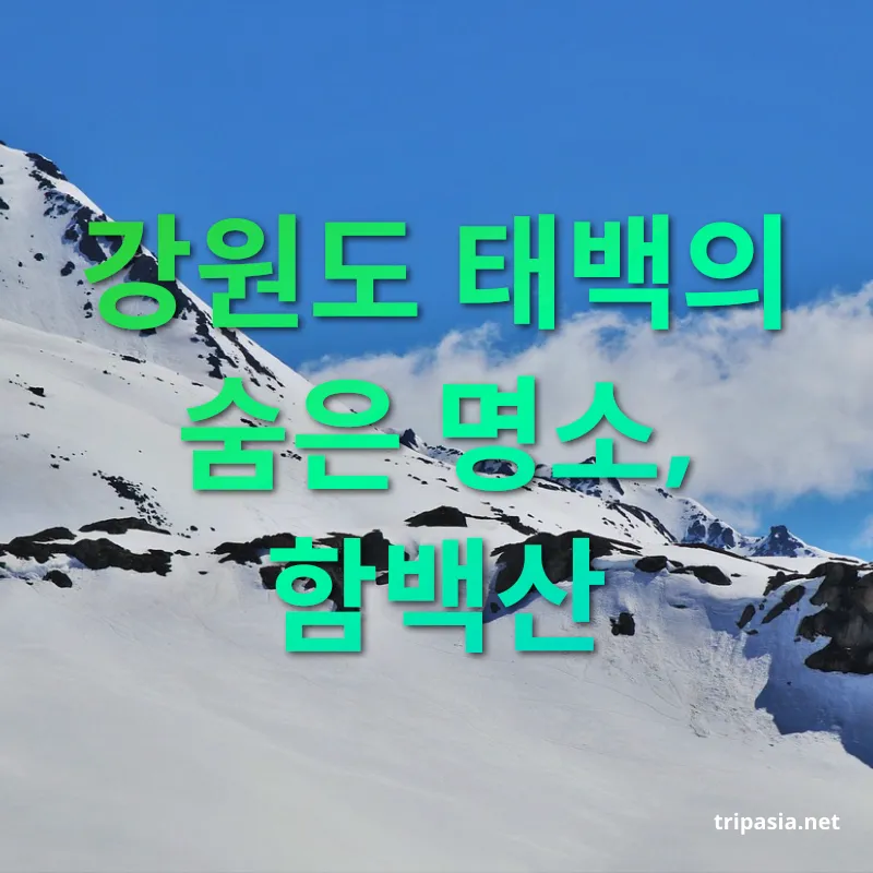 겨울 눈꽃 산행 - 강원도 태백의 숨은 명소, 함백산 겨울 눈꽃 산행 강원도 태백의 숨은 명소, 함백산 관련 이미지