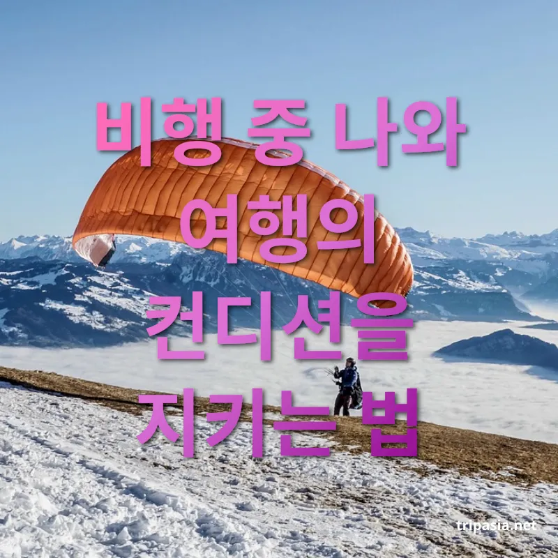 장거리 비행 준비 - 비행 중 나와 여행의 컨디션을 지키는 법 장거리 비행 준비 비행 중 나와 여행의 컨디션을 지키는 법 관련 이미지