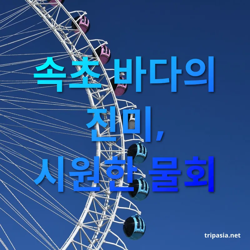 속초 맛집 - 속초 바다의 진미, 시원한 물회 속초 맛집 속초 바다의 진미, 시원한 물회 관련 이미지