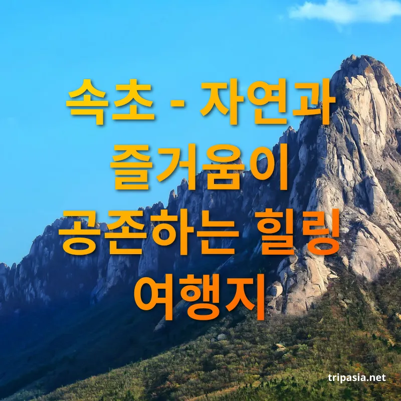 강원도 여행 - 속초 - 자연과 즐거움이 공존하는 힐링 여행지 강원도 여행 속초 - 자연과 즐거움이 공존하는 힐링 여행지 관련 이미지