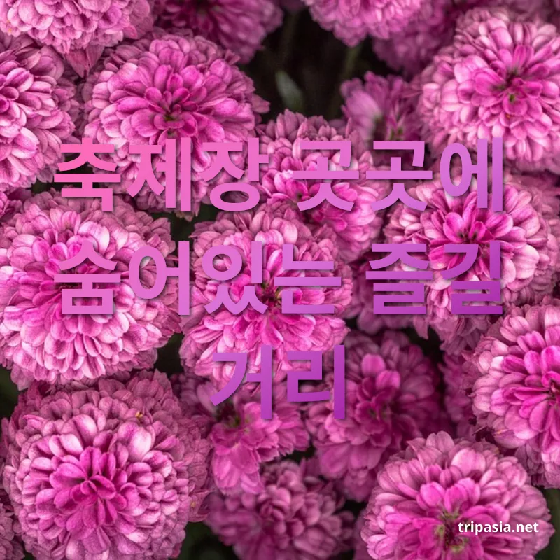 가을꽃축제 - 축제장 곳곳에 숨어있는 즐길 거리 가을꽃축제 축제장 곳곳에 숨어있는 즐길 거리 관련 이미지
