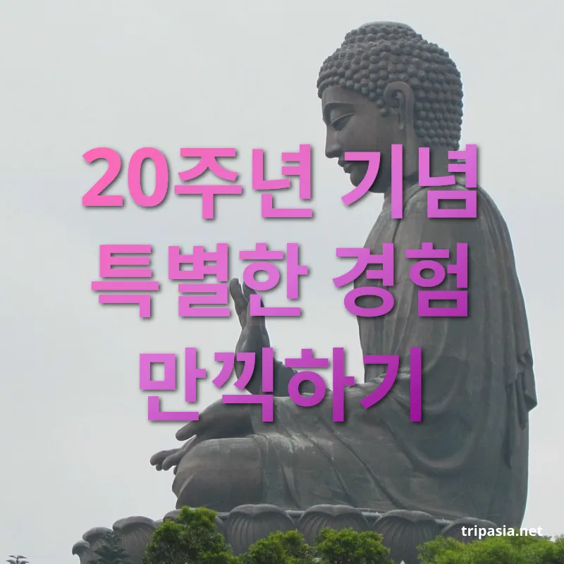 홍콩 디즈니랜드 - 20주년 기념 특별한 경험 만끽하기 홍콩 디즈니랜드 20주년 기념 특별한 경험 만끽하기 관련 이미지