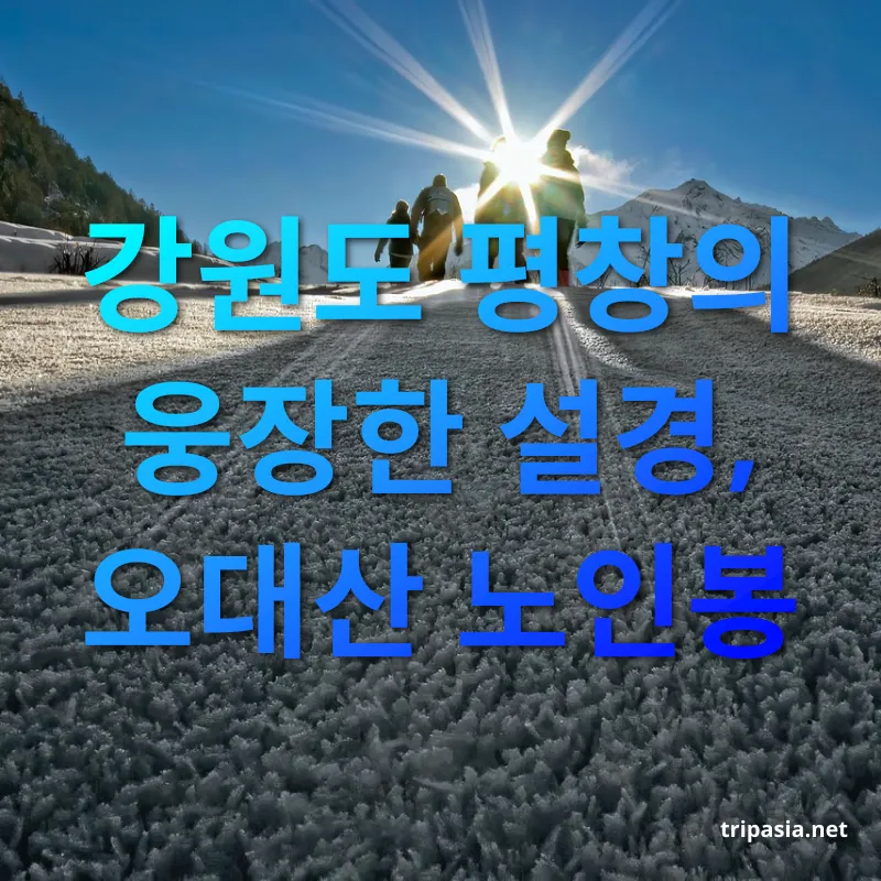 겨울 눈꽃 산행 - 강원도 평창의 웅장한 설경, 오대산 노인봉 겨울 눈꽃 산행 강원도 평창의 웅장한 설경, 오대산 노인봉 관련 이미지