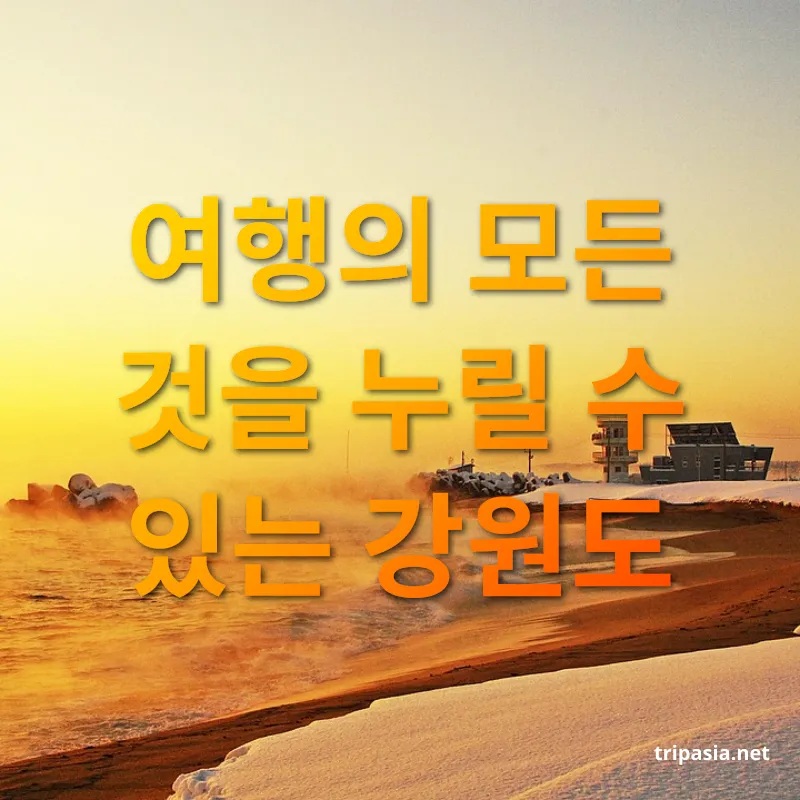 강원도 여행 - 여행의 모든 것을 누릴 수 있는 강원도 강원도 여행 여행의 모든 것을 누릴 수 있는 강원도 관련 이미지