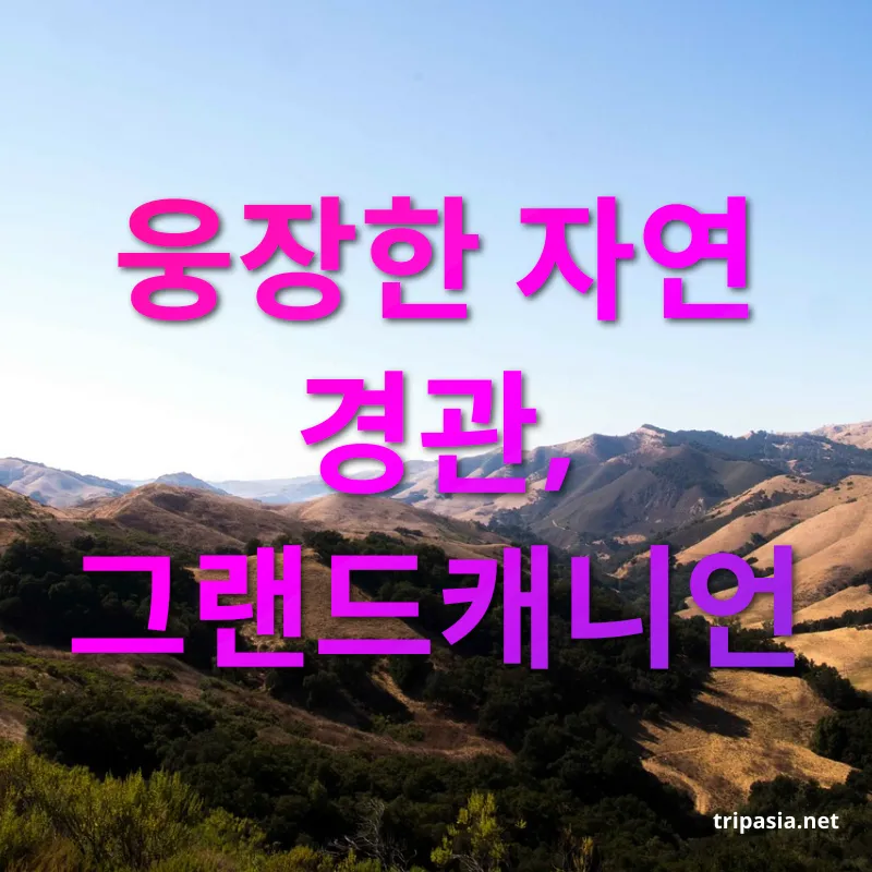 서부 미국 로드트립 - 웅장한 자연 경관, 그랜드캐니언 서부 미국 로드트립 웅장한 자연 경관, 그랜드캐니언 관련 이미지