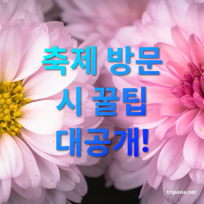 가을꽃축제 - 축제 방문 시 꿀팁 대공개! 가을꽃축제 축제 방문 시 꿀팁 대공개! 관련 이미지