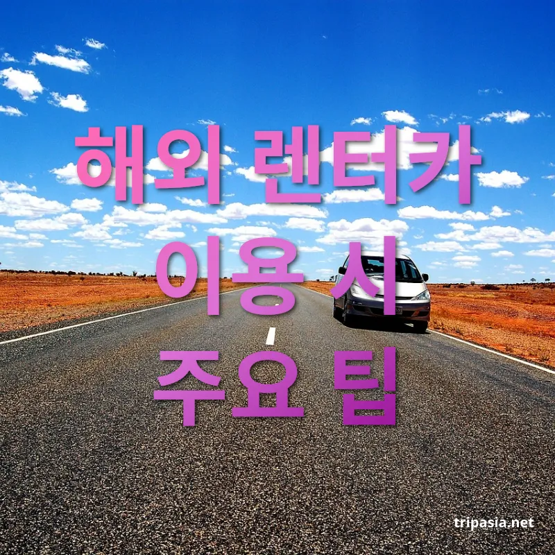 해외 렌터카 이용 - 해외 렌터카 이용 시 주요 팁 해외 렌터카 이용 해외 렌터카 이용 시 주요 팁 관련 이미지