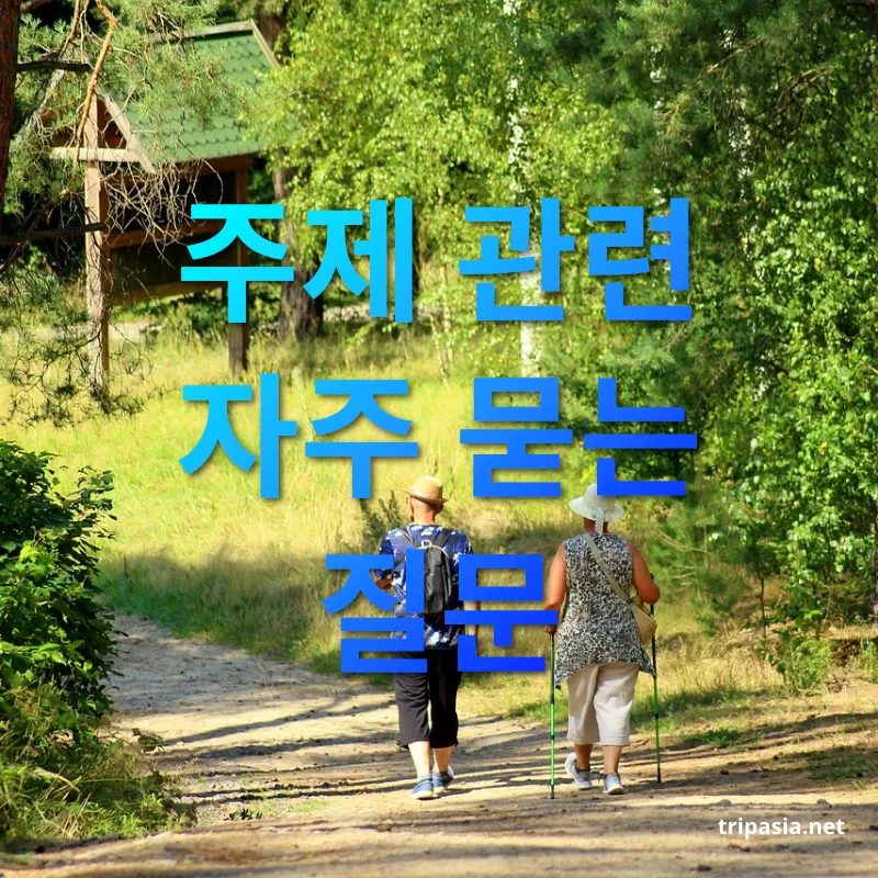 액티비티 관광 - 주제 관련 자주 묻는 질문 액티비티 관광 주제 관련 자주 묻는 질문 관련 이미지