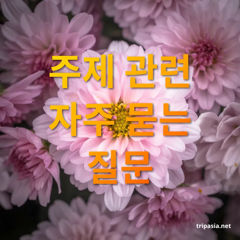 가을꽃축제 - 주제 관련 자주 묻는 질문 가을꽃축제 주제 관련 자주 묻는 질문 관련 이미지