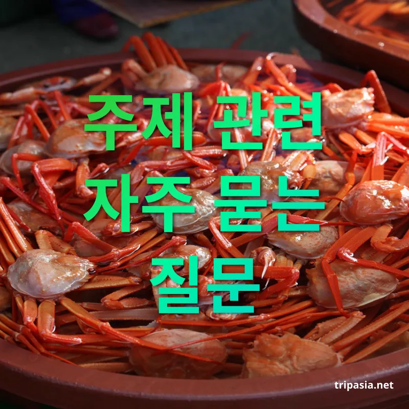 속초 맛집 - 주제 관련 자주 묻는 질문 속초 맛집 주제 관련 자주 묻는 질문 관련 이미지